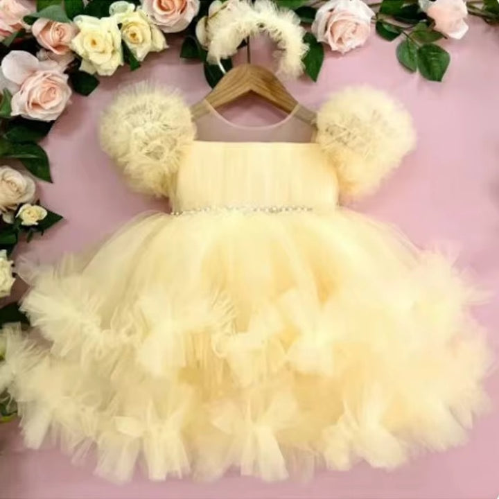 Girls Tule Princess Dress